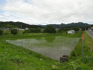 DSC02917.JPG